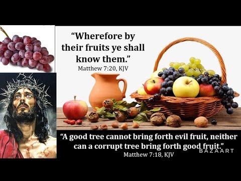 What Matt. 7:16-20 doesn’t mean “know them by their fruits”