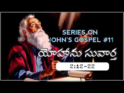 Series on John's Gospel #11 || Exposition on John 2:12-22 ||