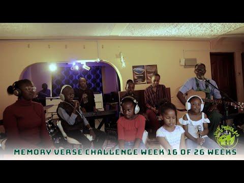 Memory Verse Challenge || Week 16 of 26 || Philippians 4:4-6