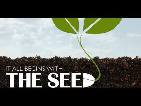 Series 3: Everything to Know about LAWS OF EARTH | CONCEPTS OF A SEED| Law of Sowing Luke 8:4-18