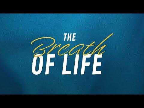 Acts 17:24-25 - The Breath of Life | Rabbi Marty Waldman