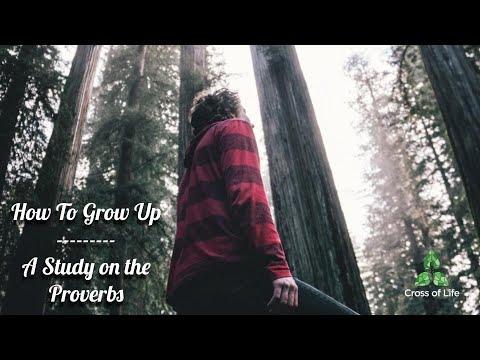 Wisdom Will Protect You | Proverbs 2:1-15 | How To Grow Up: A Study on the Proverbs