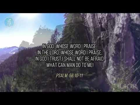 Bible verse with video background | Psalm 56: 10-11