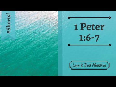 Trails Prove and Increase Your Faith! | 1 Peter 1:6-7 | July 15th | Rise and Shine Shorts