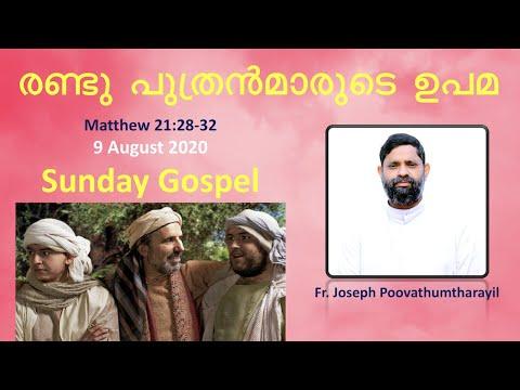 9 August 2020, Sunday | Gospel Study: Matthew 21:28-32 | Fr. Joseph Poovathumtharayil