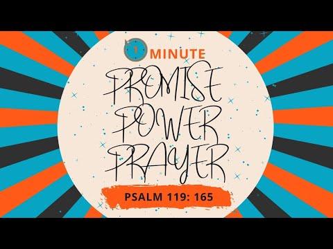 Promise Power Prayer:  Quick Prayers before bed :  Psalm 119: 165