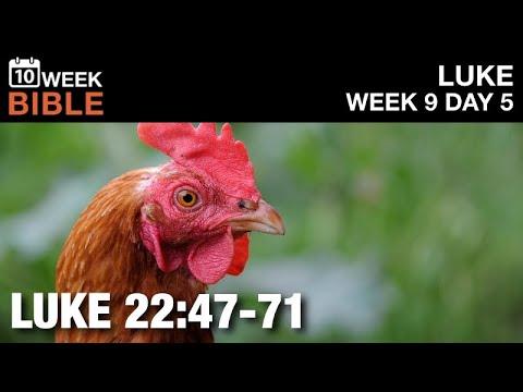 Peter Denies Jesus | Luke 22:47-71 | Week 9 Day 5 Study of Luke