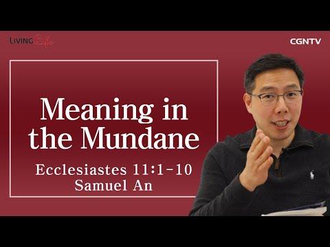 [Living Life] 12.30 Meaning in the Mundane (Ecclesiastes 11:1-10) - Daily Devotional Bible Study