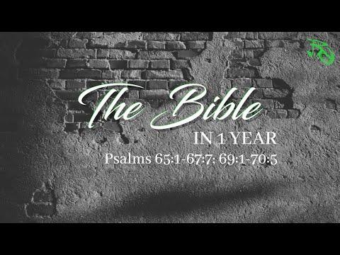 The Bible in 1 Year - EP 132 - Psalms 65:1-67:7; 69:1-70:5