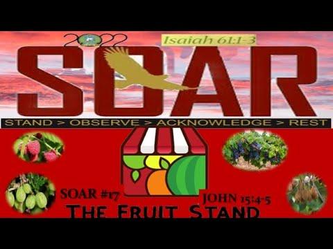 051122 SOAR Study - John 15:4-5 - #17 The Fruit Stand