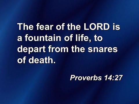 "The Benefits of Fearing the Lord" Proverbs 14:26-27