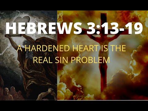 The Daily Word verse by verse Hebrews 3:13-19