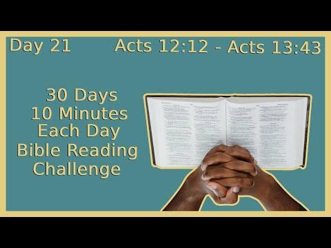 30 DAY BIBLE READING CHALLENGE (JOHN 12:12 - ACTS 13:43)