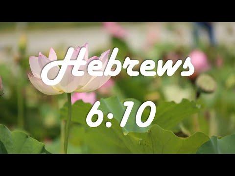 God&#39;s Promises | Hebrews 6:10 |  I will not forget the love you have shown Me by serving others