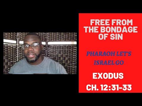 Independence Day | Pharaoh Let's Israel Go | Becoming free from the bondage of sin | Exodus 12:31-33