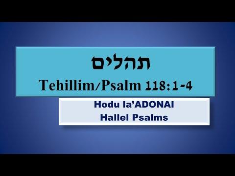 Hodu la'ADONAI. Psalm 118:1-4. Give Thanks to the LORD for His loving kindness endures forever!