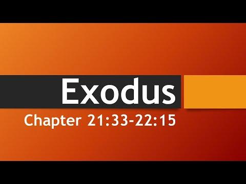 Exodus 21:33-22:15 : Reading the Bible with Pastor - Ep. 29