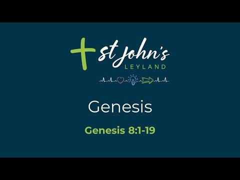 Sunday 17th October 2021 - Genesis 8: 1-19
