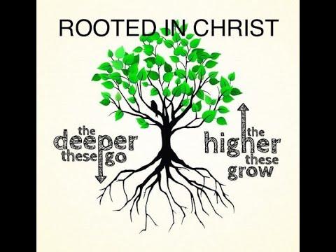 COL. 2:6-7 / Rooted in Christ