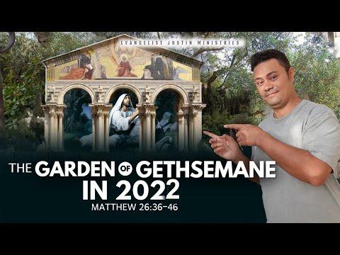 THE GARDEN OF GETHSEMANE IN 2022 - Matthew 26:36-46 - CHURCH OF ALL NATIONS