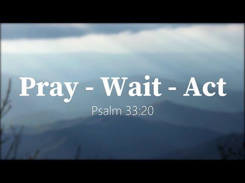 1/31/21 - Pray, Wait, Act - Psalm 33:20