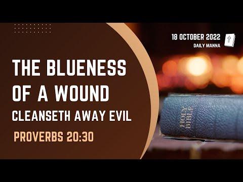 Proverbs 20:30 | The Blueness Of A Wound Cleanseth Away Evil | Daily Manna