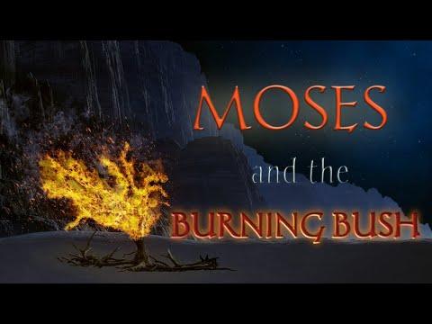 MOSES AND THE BURNING BUSH (Basic) Exodus 3:5 with D Viewpoint Aris