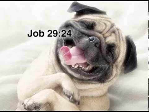 Job 29:24