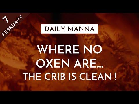 Where No Oxen Are, The Crib Is Clean | Proverbs 14:4 | Daily Manna