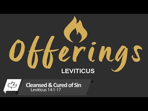 Cleansed and Cured of Sin - Leviticus 14:1-17