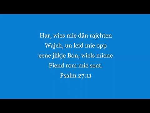 Willy Fehr - Psalm 27:11 - 20210301