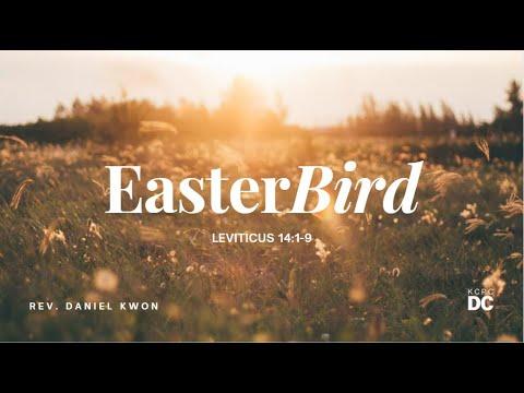 The Easter Bird - Leviticus 14:1-9 // KCPC DC // April 17, 2022