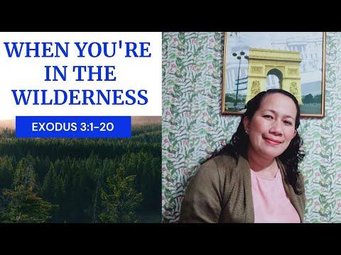 WHEN YOU'RE IN THE WILDERNESS - Exodus 3:1-20