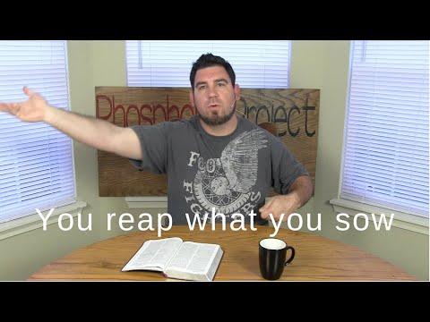 You reap what you sow | 2 Corinthians 9:6 | One Verse Daily Devotional