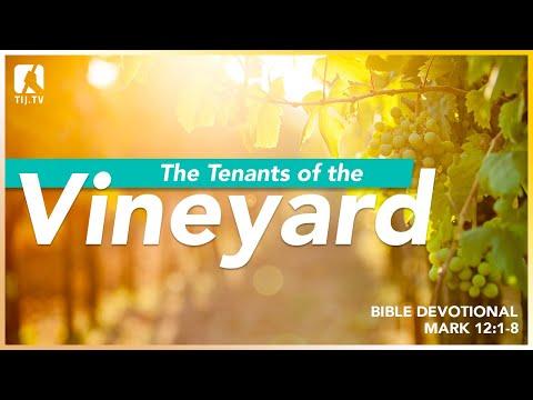 107. The Tenants of the Vineyard - Mark 12:1-8