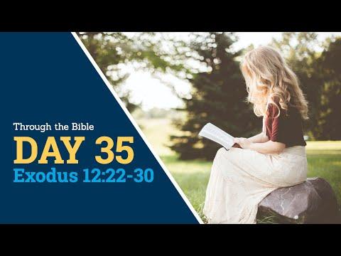 DAY 35 -- Exodus 12:22-30 -- Through the Bible, 365 Daily Scripture Meditations, reading God's Word