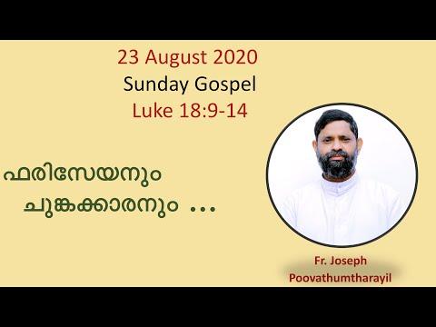 23 August 2020 Sunday Gospel Study | Luke 18:9-14 | Fr. Joseph Poovathumtharayil