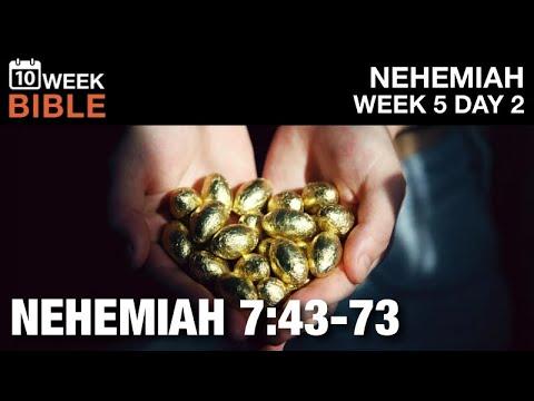 The Offering | Nehemiah 7:43-73 | Week 5 Day 2 Study of Nehemiah