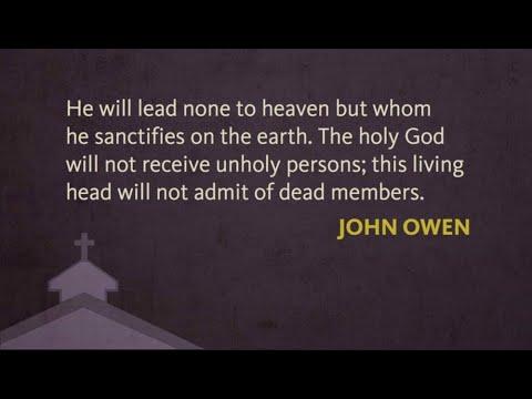 An Exposition of Hebrews 3:7-11, by John Owen.