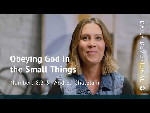 Obeying God in the Small Things | Numbers 8:2–3 | Our Daily Bread Video Devotional
