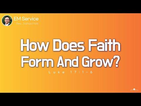 2022.01.09 How does faith form and grow? (Luke 17:1-6) Rev. Joshua Park