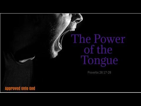 The Power of The Tongue | Proverbs 26:17-28