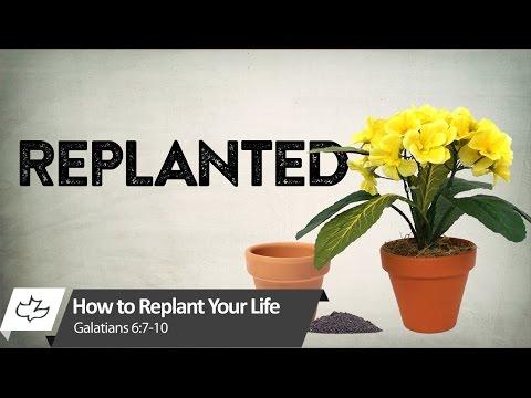 How to Replant Your Life - Galatians 6:7-10