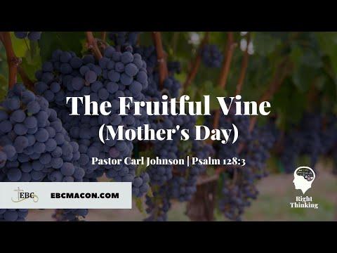 The Fruitful Vine (Psalm 128:3)