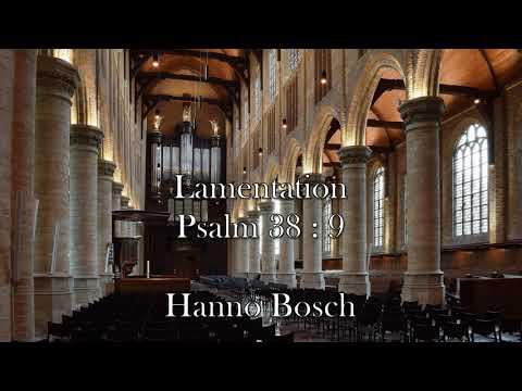Hanno Bosch - Lamentation Psalm 38 : 9 - Nieuwe Kerk Delft