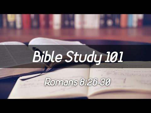 Bible Study 101 Romans 8:26-30