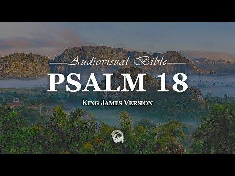 Psalm 18:1-50 King James Version (KJV)