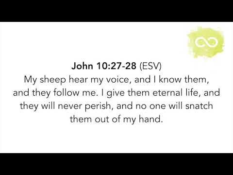 SCRIPTURE MEMORY SONG | John 10:27-30