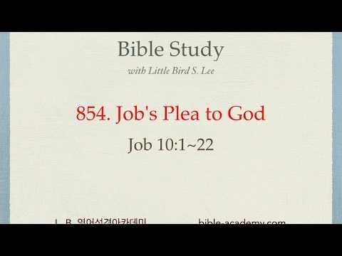 854. Job's Plea to God - Job 10:1~22
