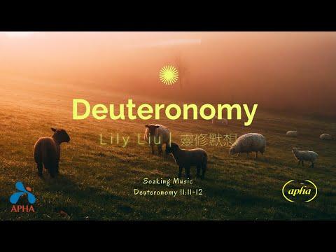 APHA 亞洲禱告殿 靈修默想 | 申命記 Deuteronomy 11:11-12   |  Lily Liu